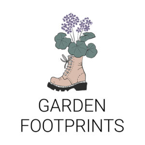 Browallia Endless Flirtation